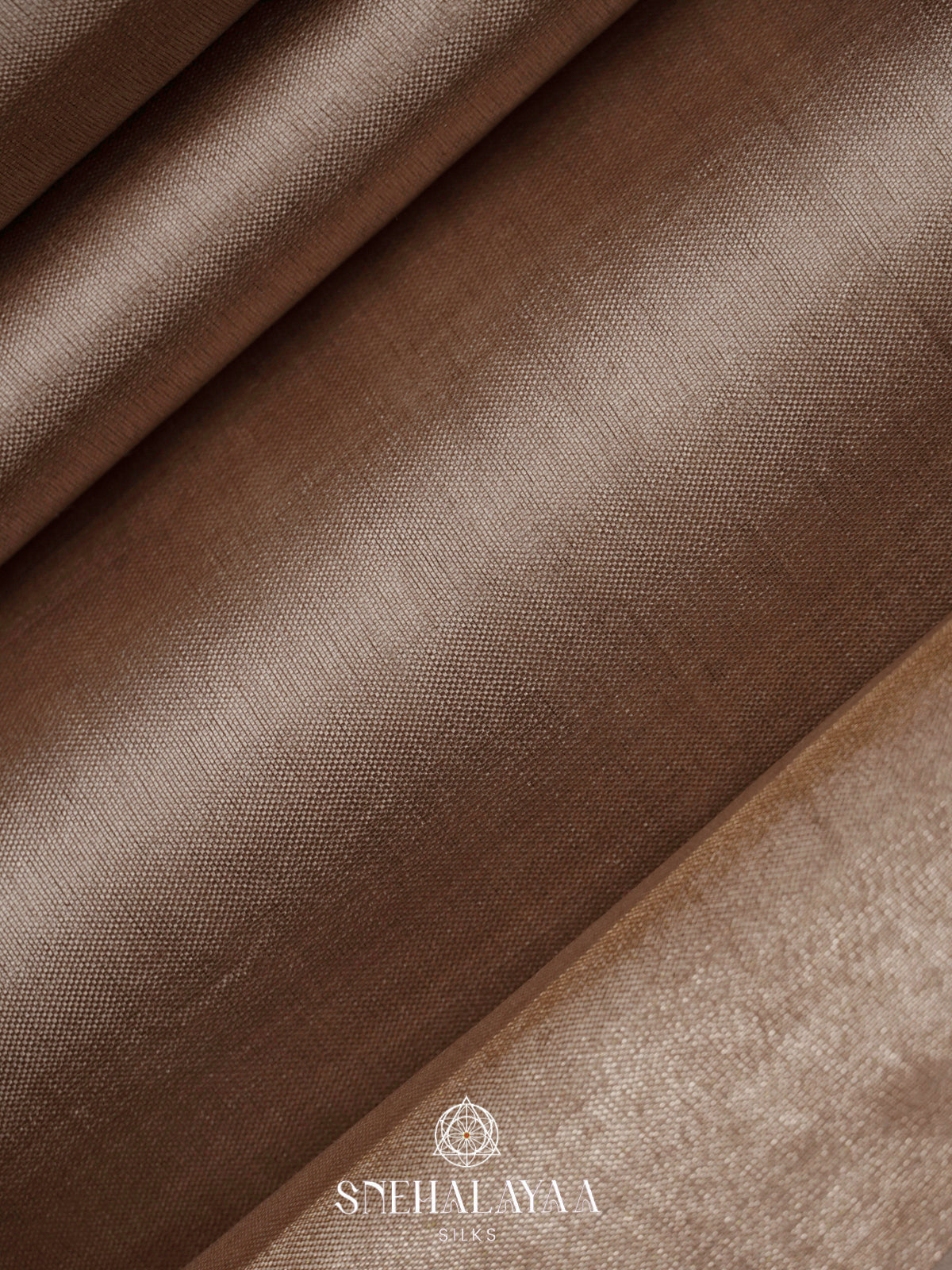 Beige Tussar Silk Saree