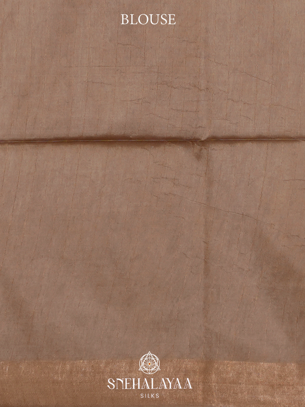 Beige Tussar Silk Saree