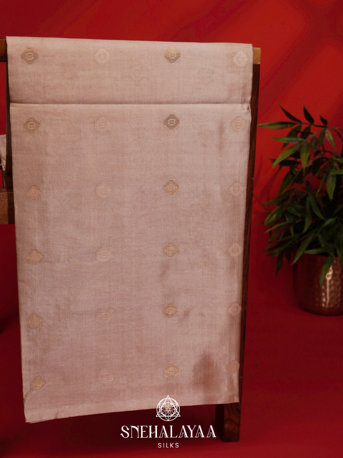Beige Tussar Silk Saree
