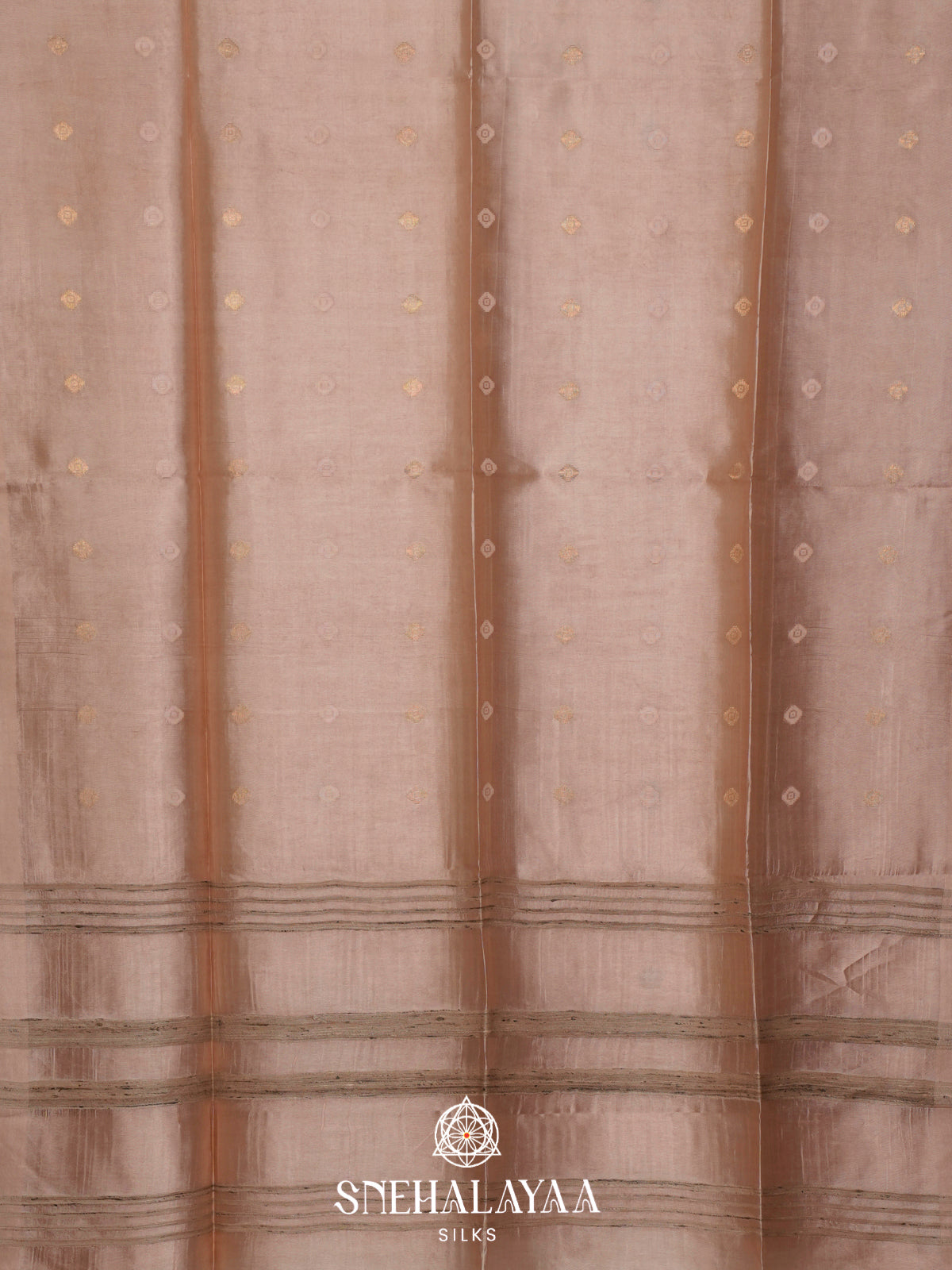 Beige Tussar Silk Saree