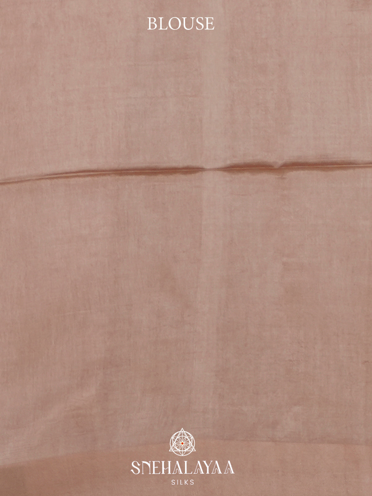 Beige Tussar Silk Saree