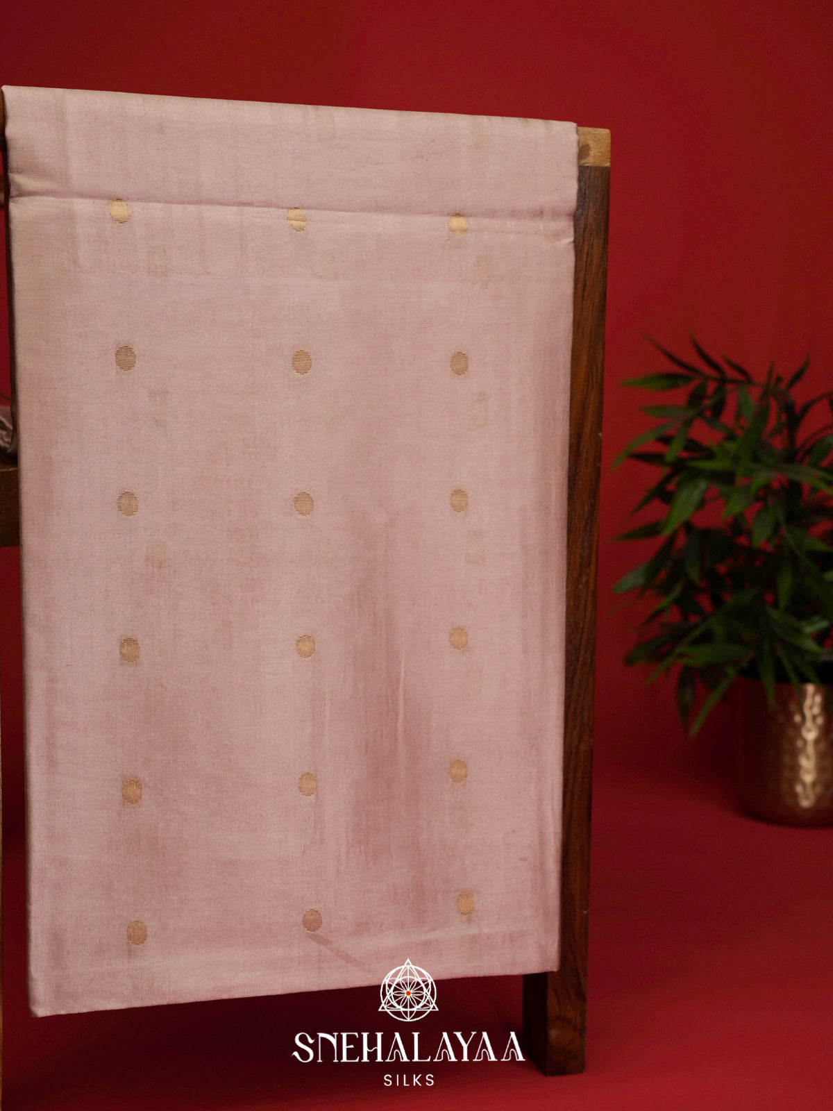 Beige Tussar Silk Saree