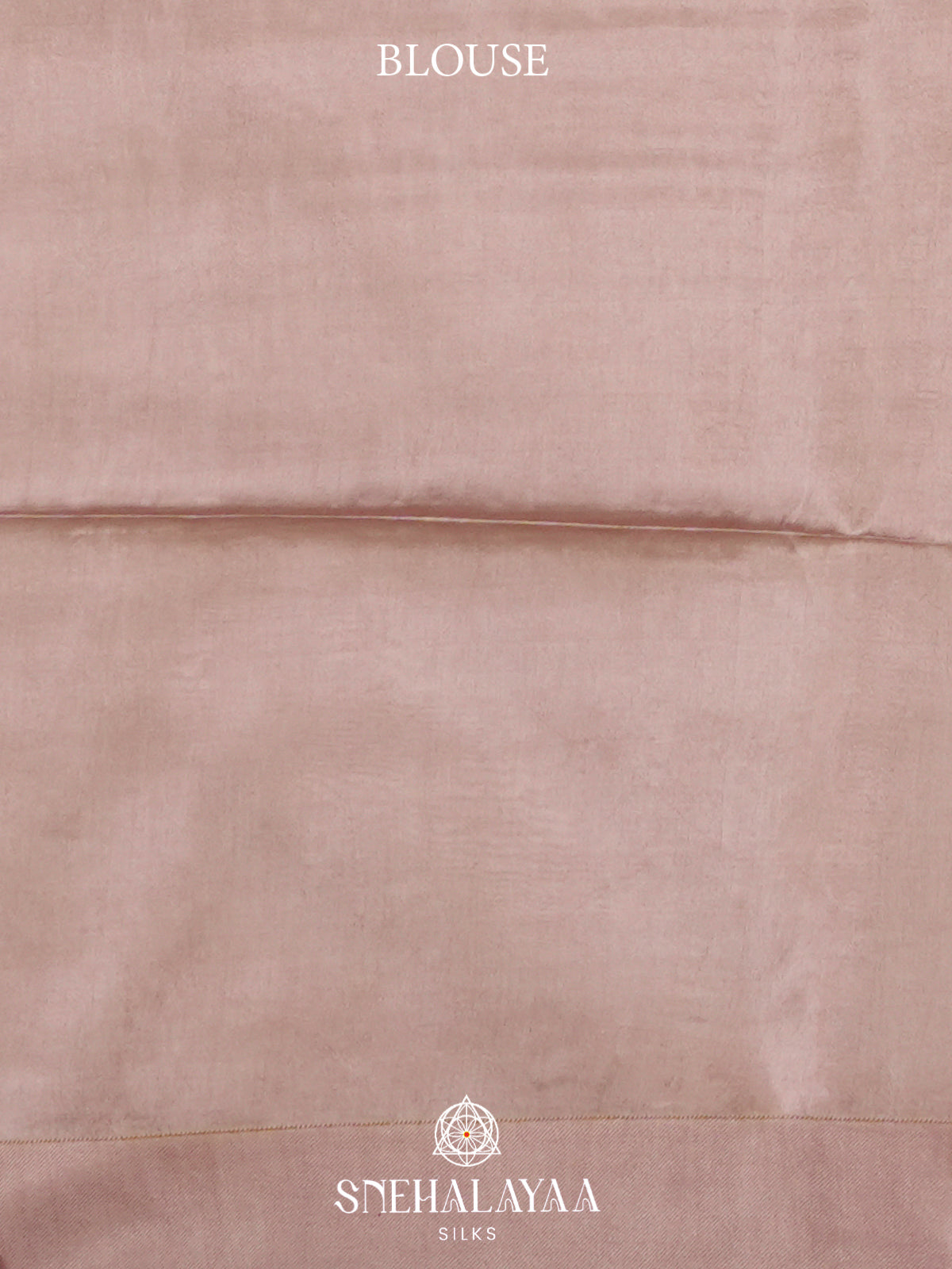 Beige Tussar Silk Saree