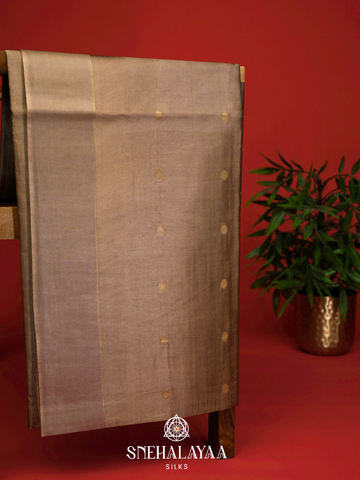 Taupe Tussar Silk Saree