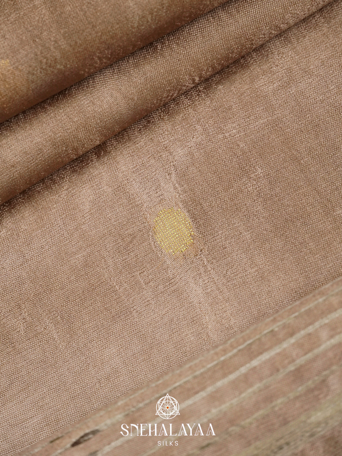 Taupe Tussar Silk Saree