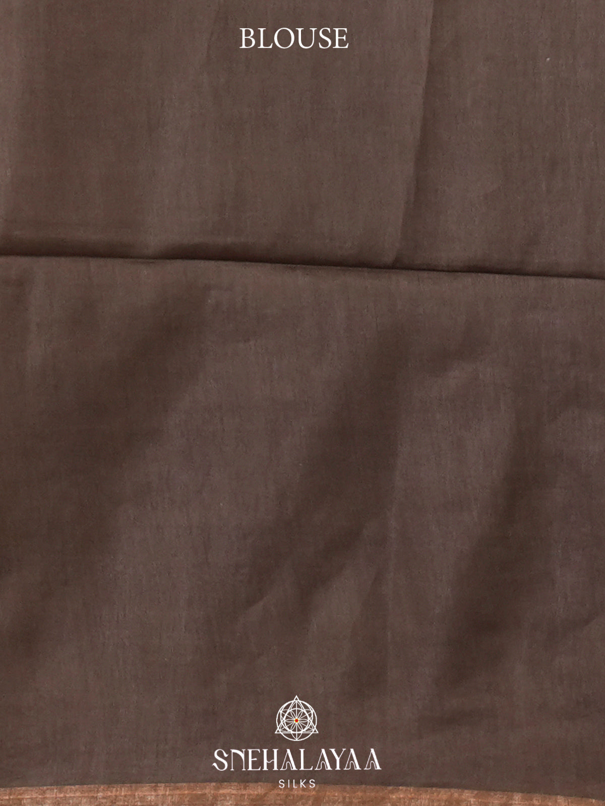 Beige Tussar Silk Saree