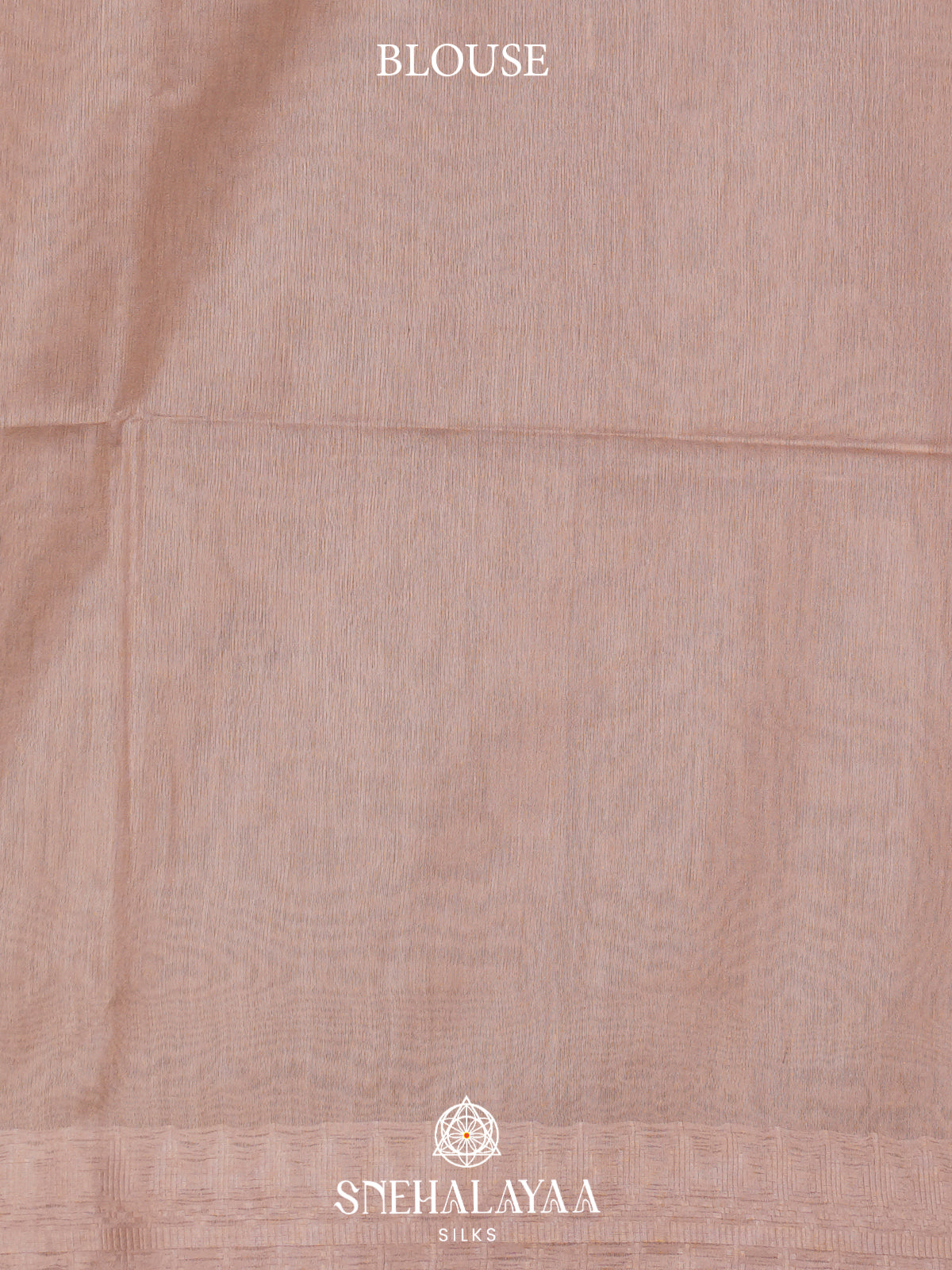 Beige Tussar Silk Saree