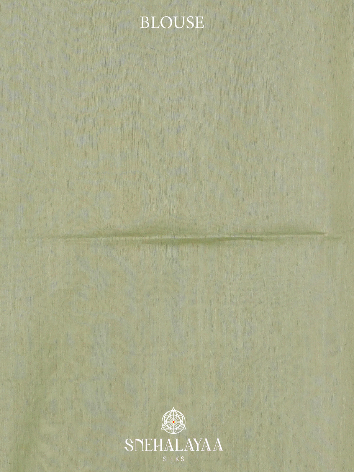 Mint Green Tussar Silk Saree