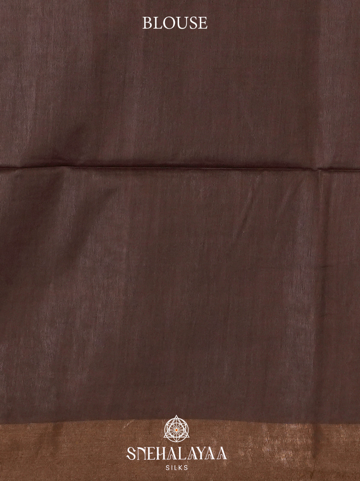 Sand Beige Tussar Silk Saree