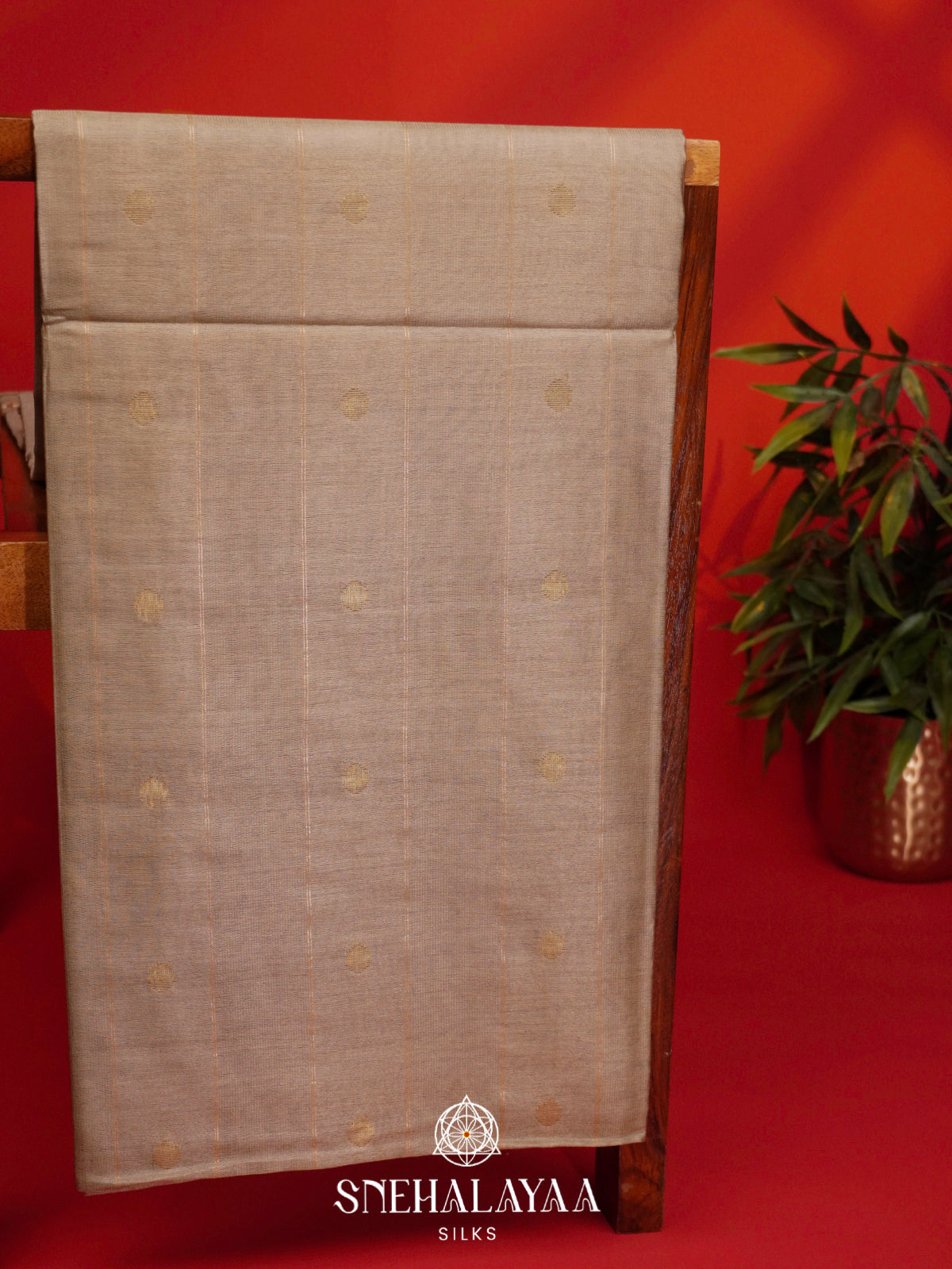 Beige Tussar Silk Saree