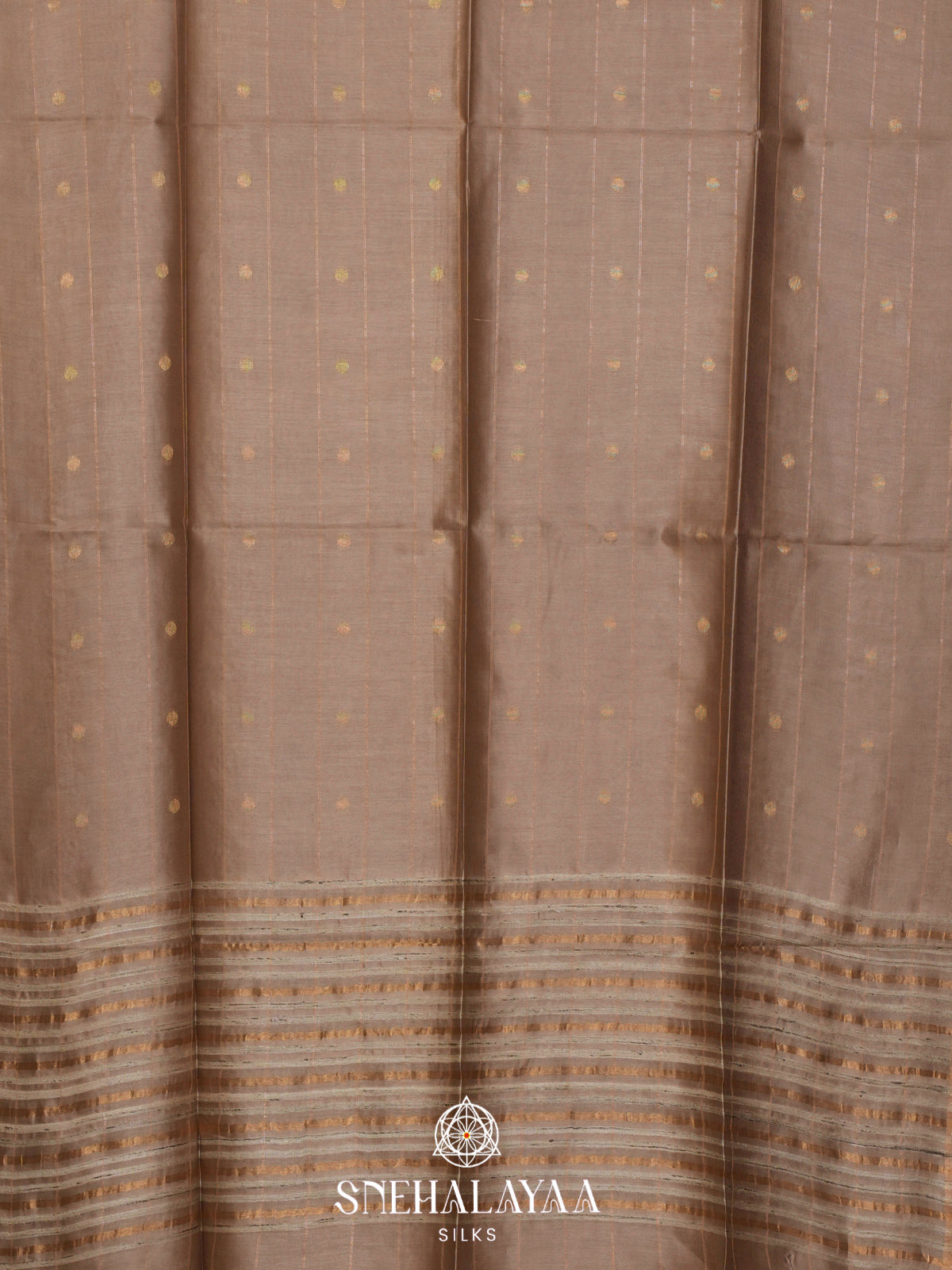 Beige Tussar Silk Saree
