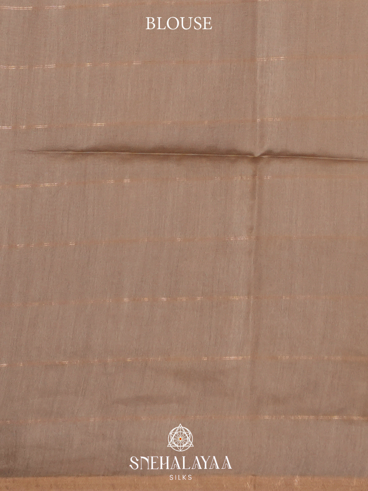 Beige Tussar Silk Saree