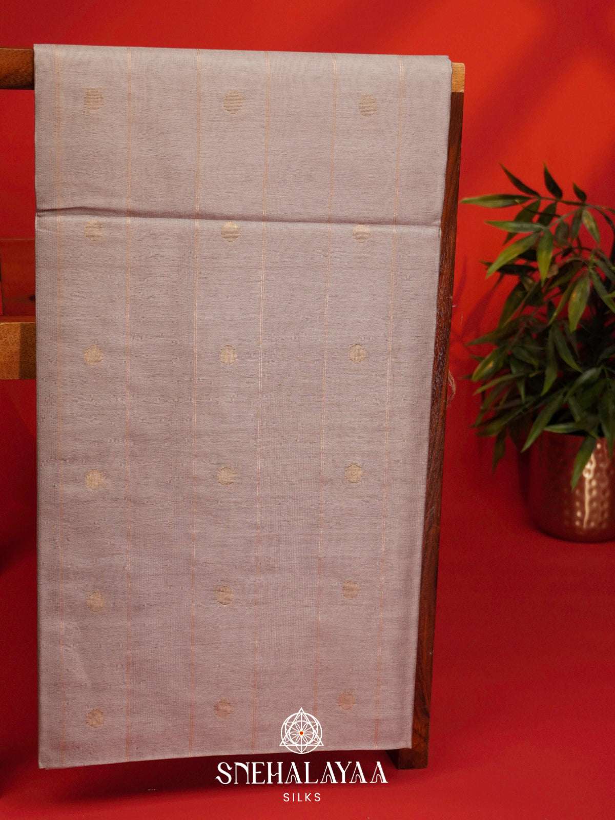 Beige Tussar Silk Saree