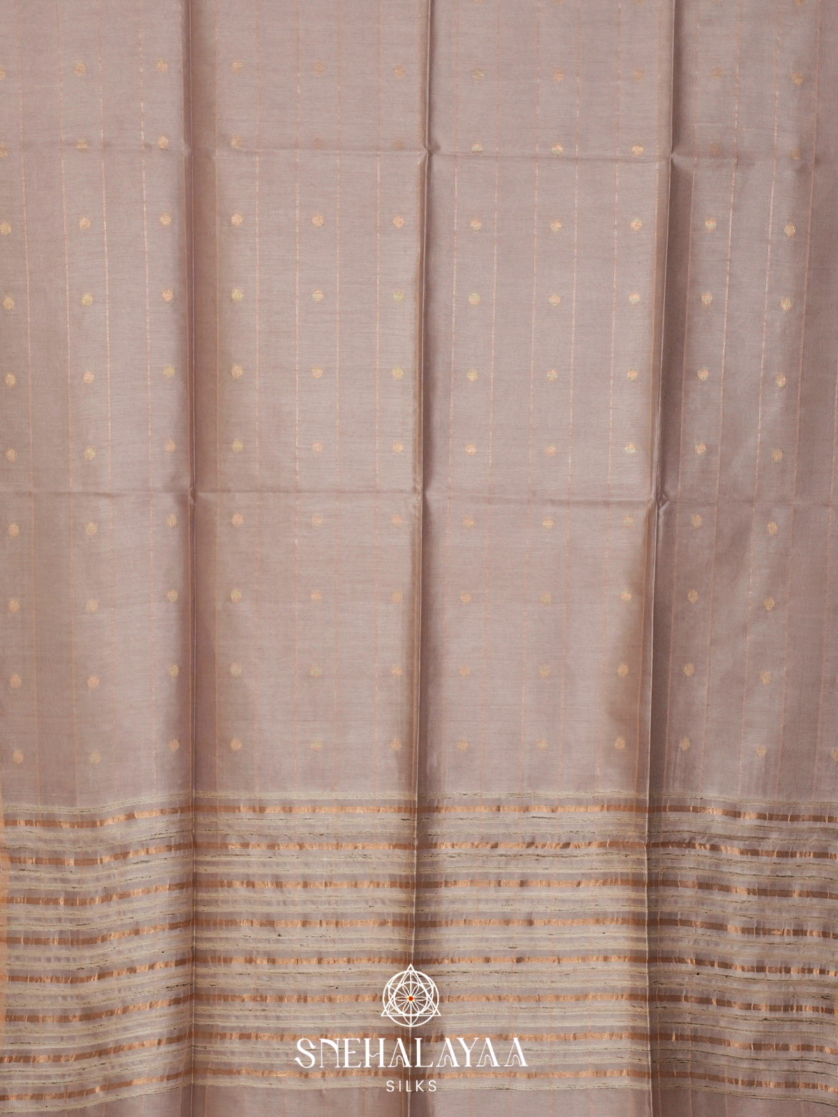 Beige Tussar Silk Saree