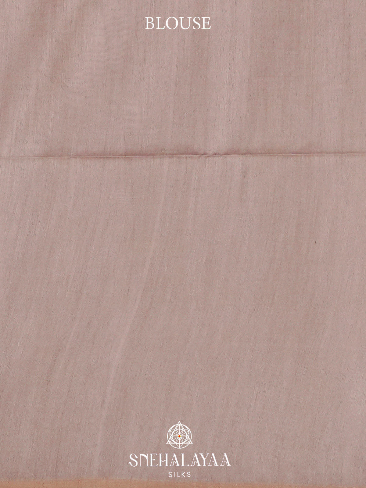 Beige Tussar Silk Saree