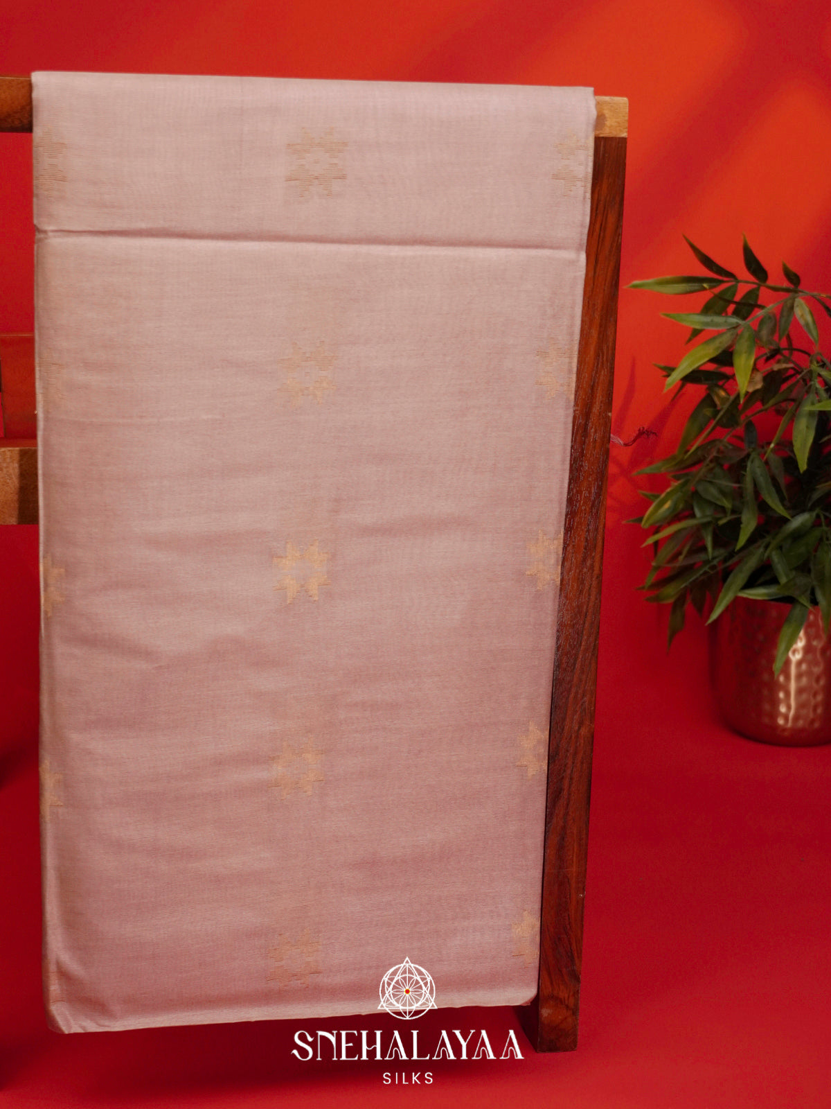 Beige Tussar Silk Saree