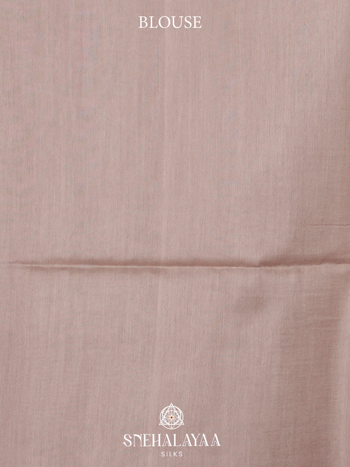Beige Tussar Silk Saree