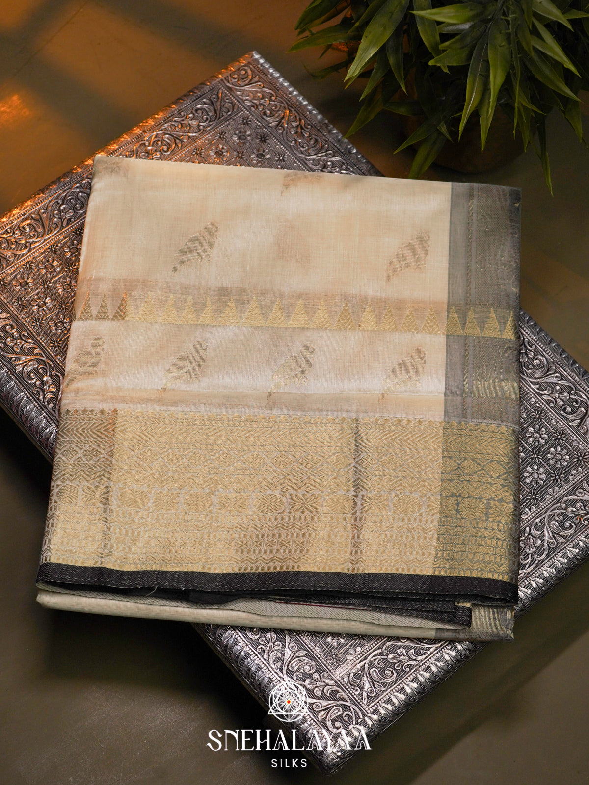 Off white Kanchi Silk Cotton Saree