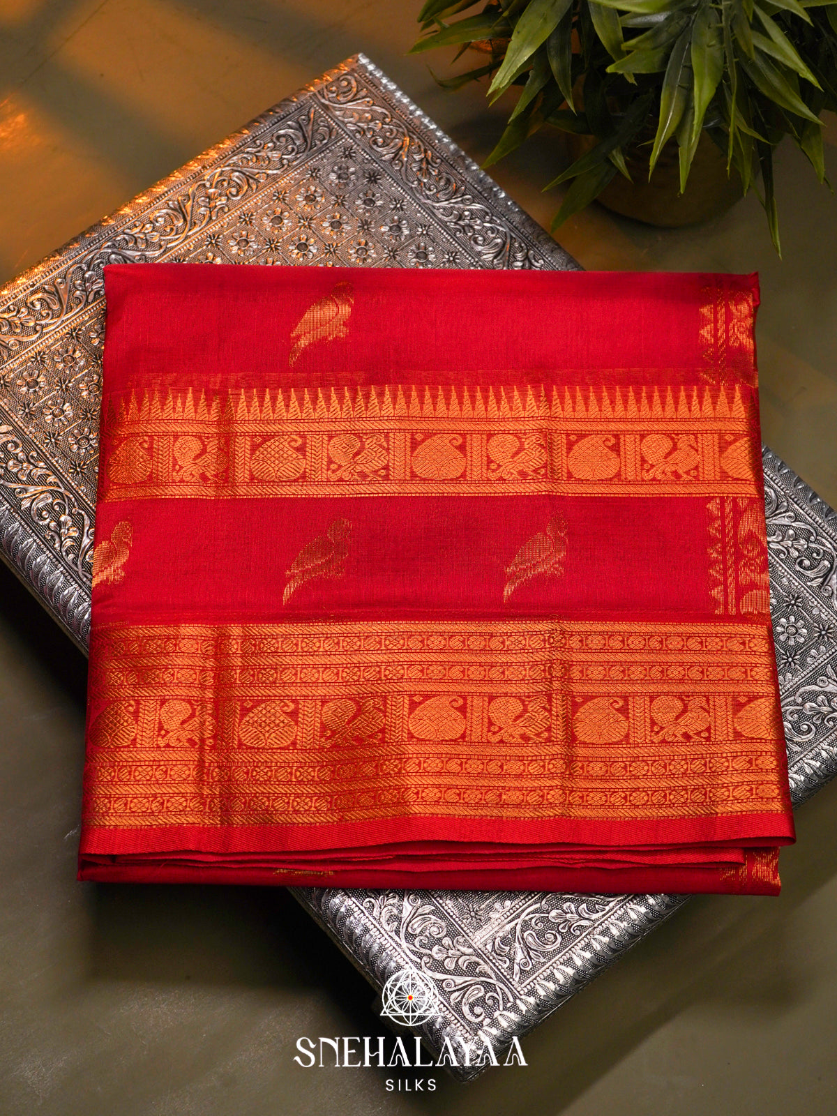 Red Kanchi Silk Cotton Saree