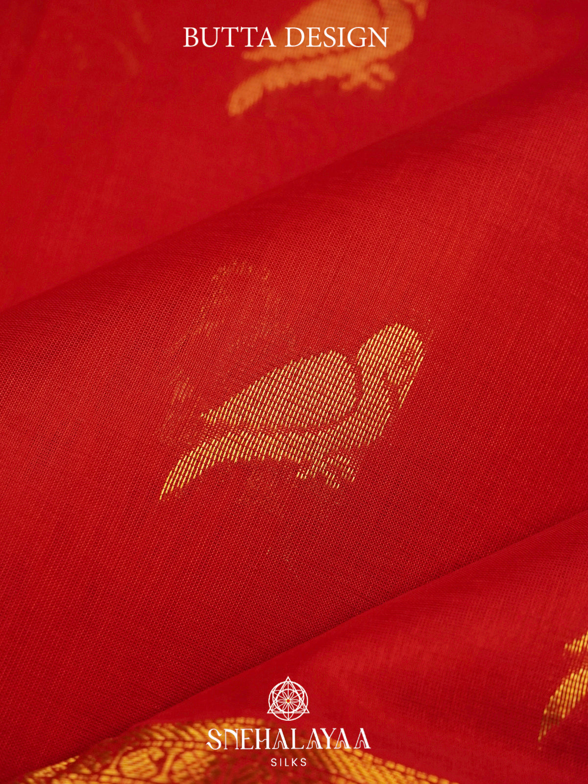 Red Kanchi Silk Cotton Saree