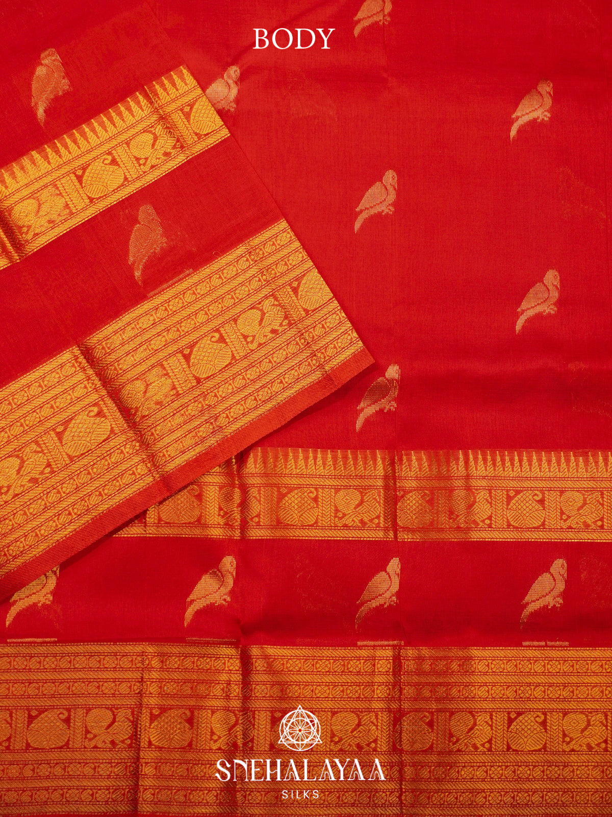 Red Kanchi Silk Cotton Saree