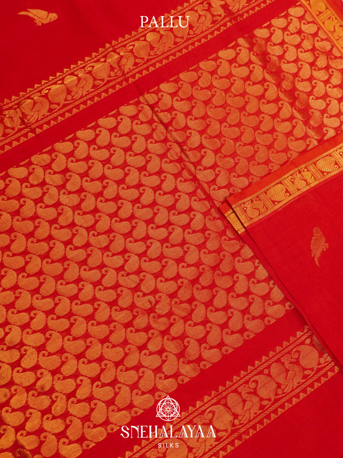 Red Kanchi Silk Cotton Saree