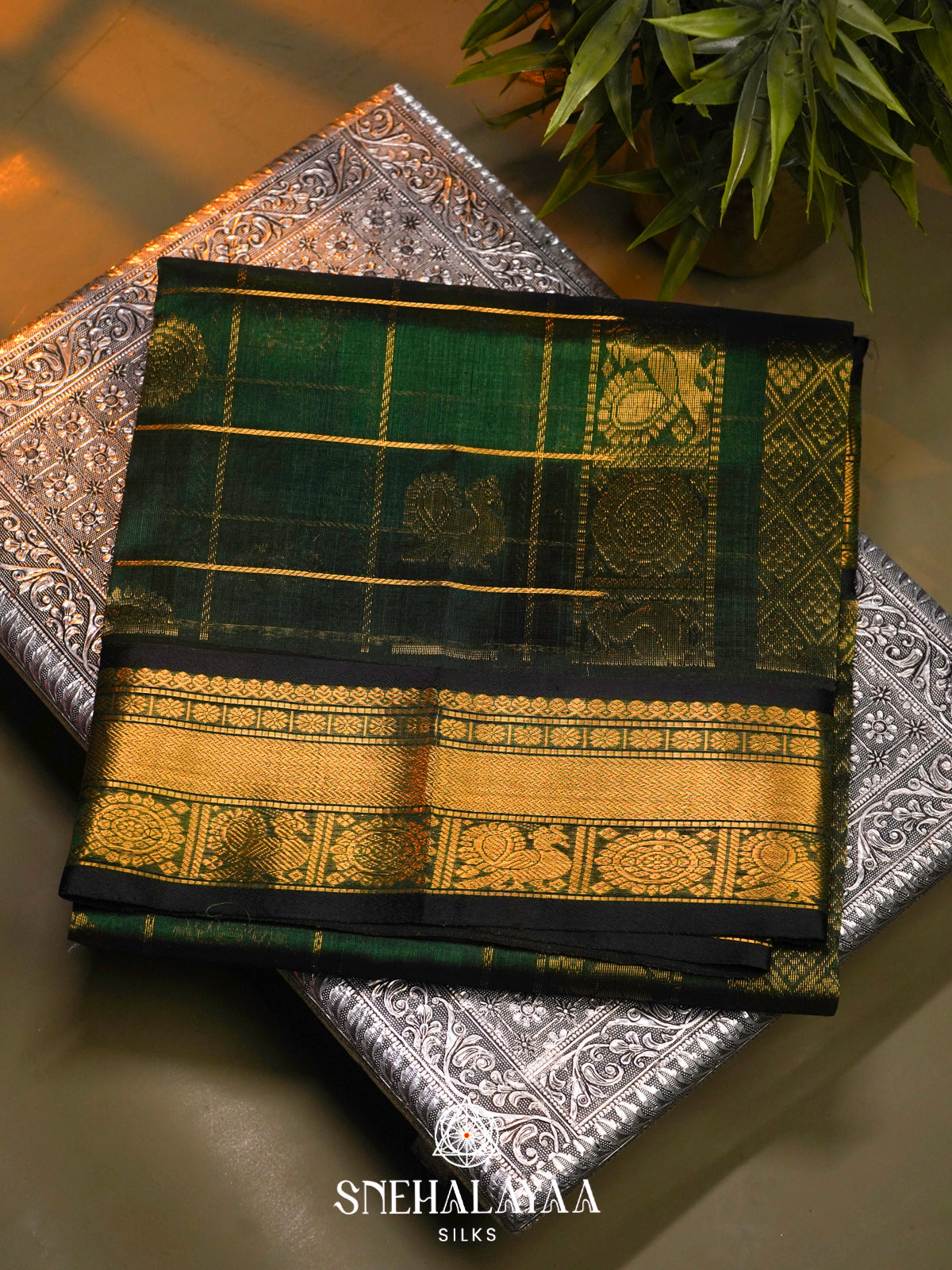 Green Kanchi Silk Cotton Saree