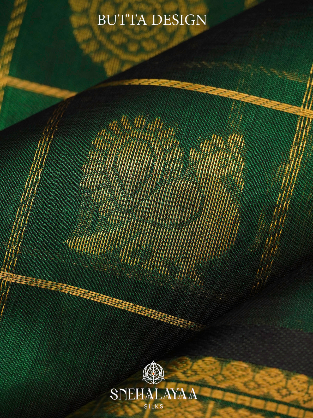 Green Kanchi Silk Cotton Saree