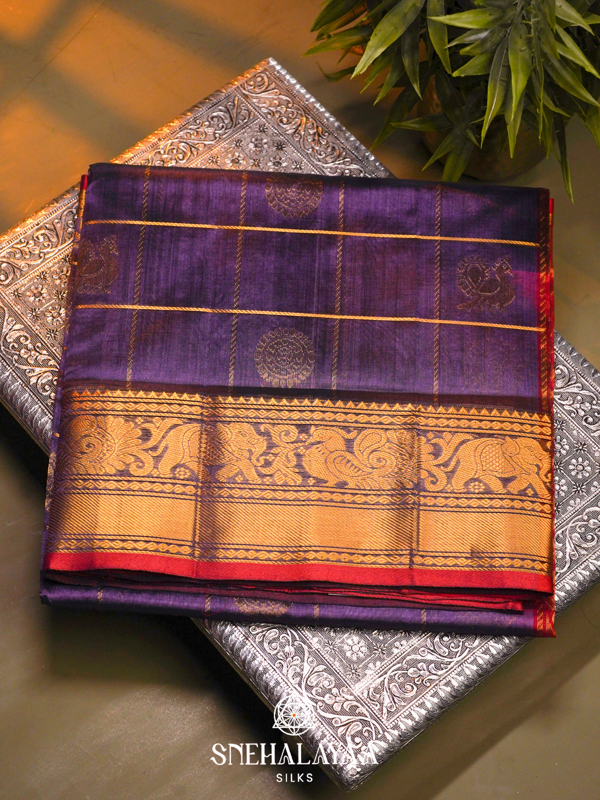 Violet Kanchi Silk Cotton Saree