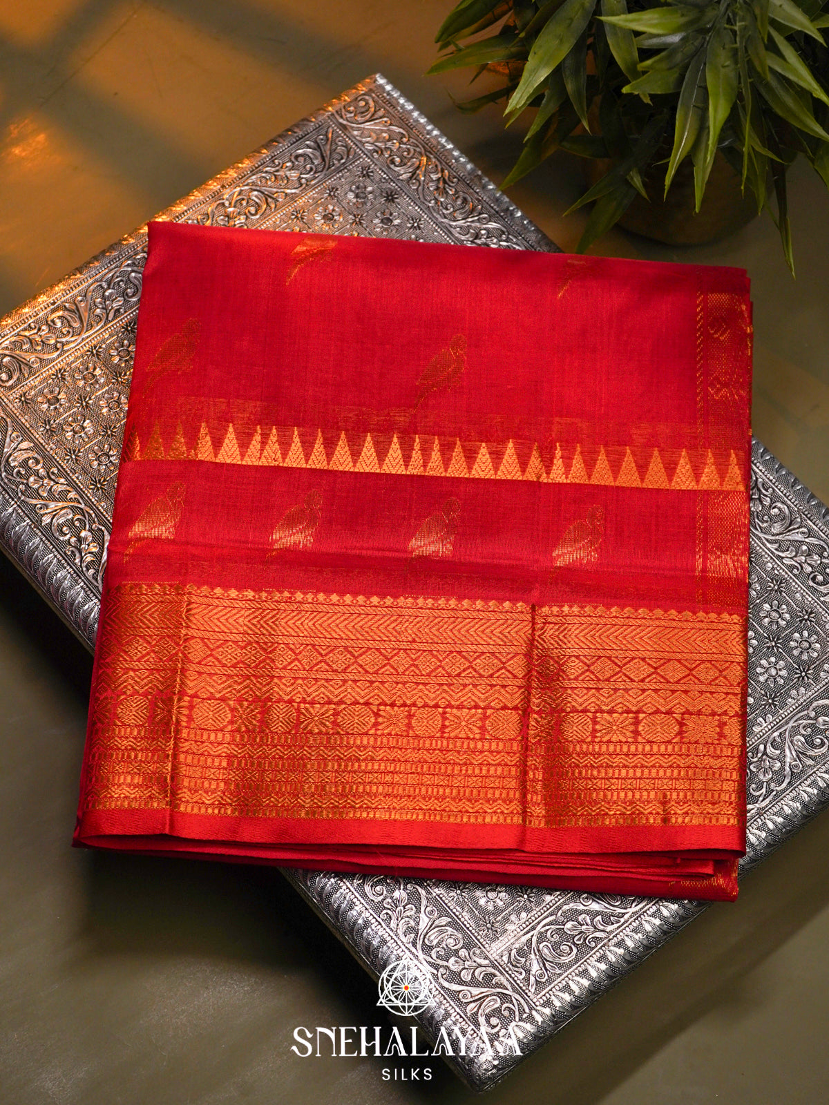 Red Kanchi Silk Cotton Saree