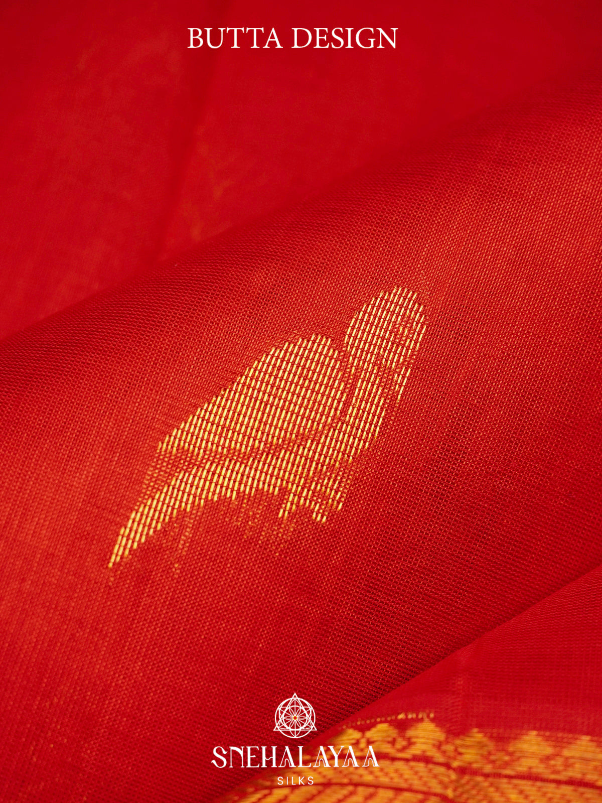 Red Kanchi Silk Cotton Saree