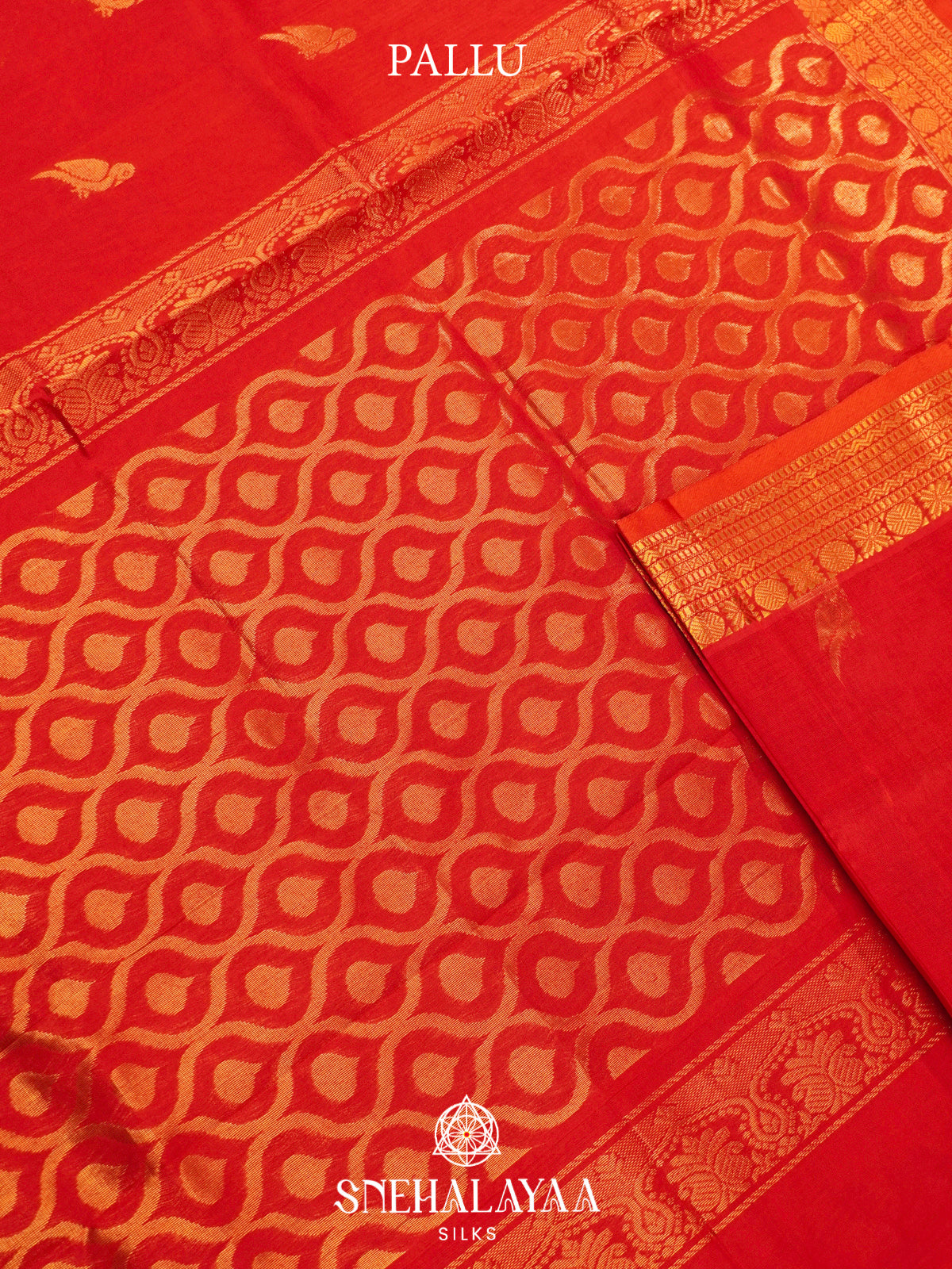 Red Kanchi Silk Cotton Saree