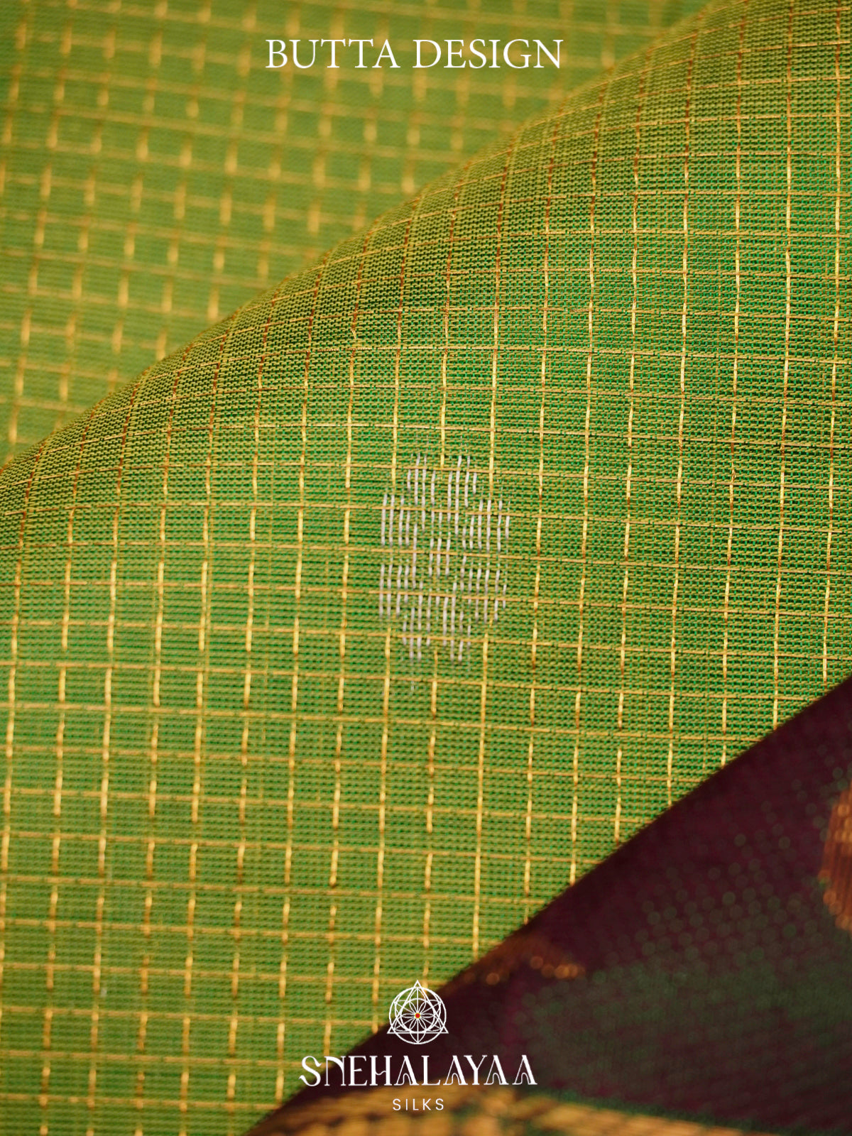 Olive Green Kanchi Silk Cotton Saree