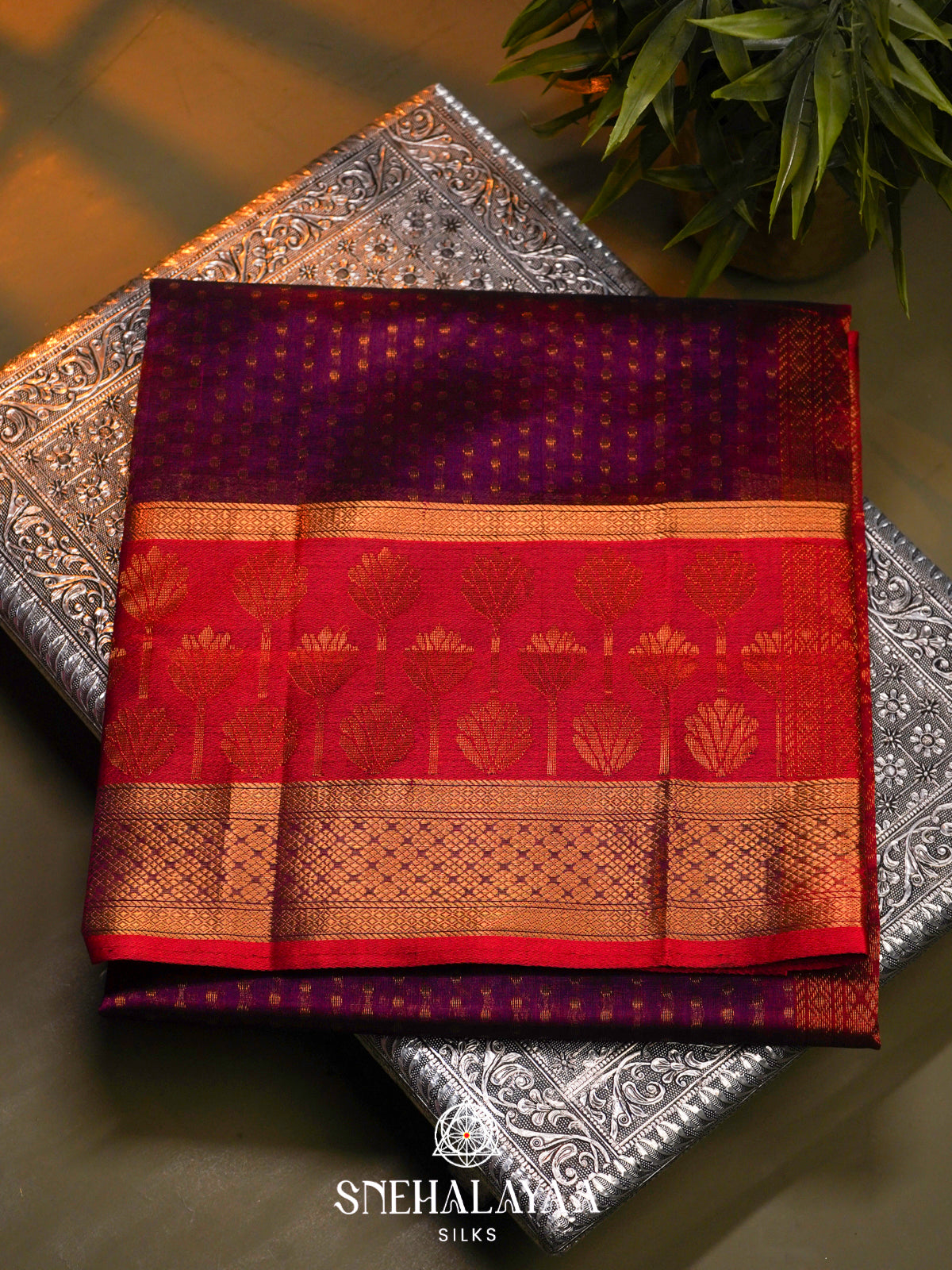 Lavender Kanchi Silk Cotton Saree