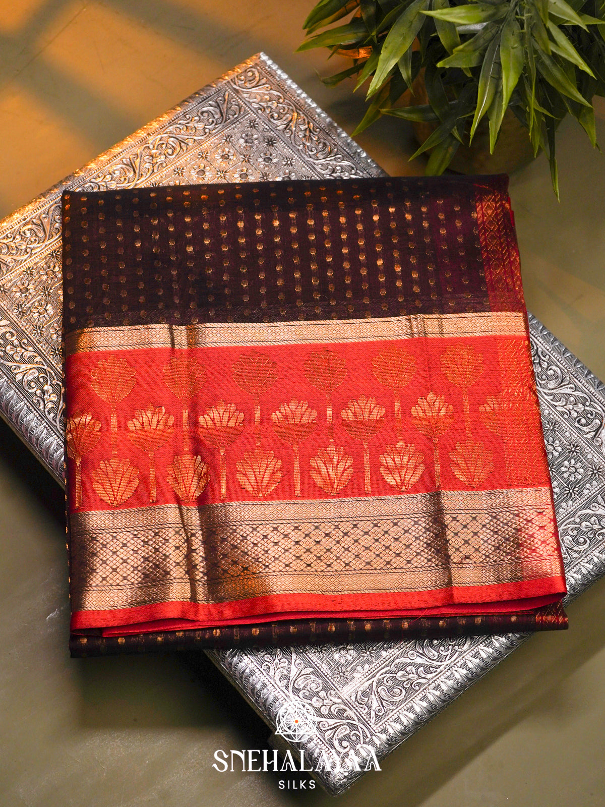 Brown Kanchi Silk Cotton Saree