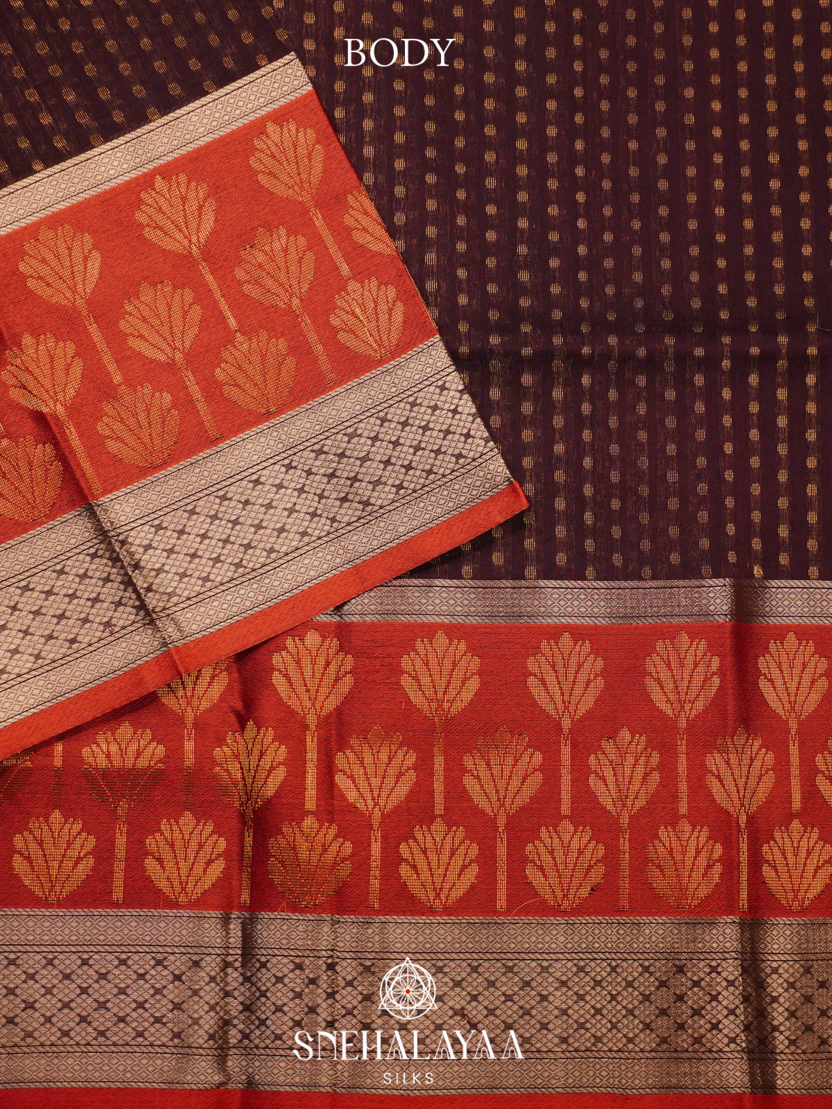 Brown Kanchi Silk Cotton Saree