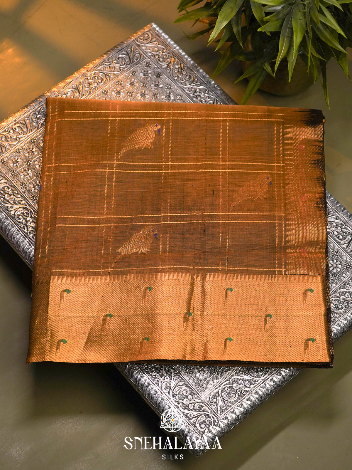 Brown Kanchi Silk Cotton Saree