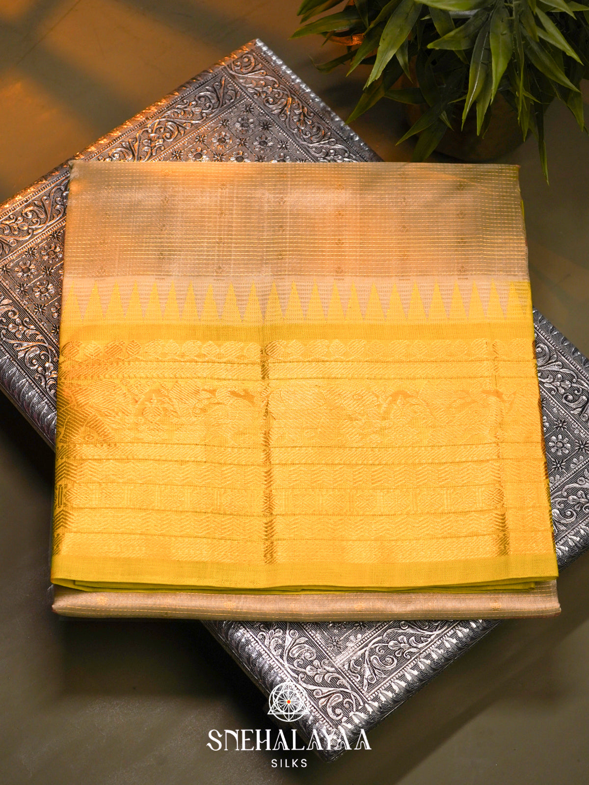 Sandal Kanchi Silk Cotton Saree