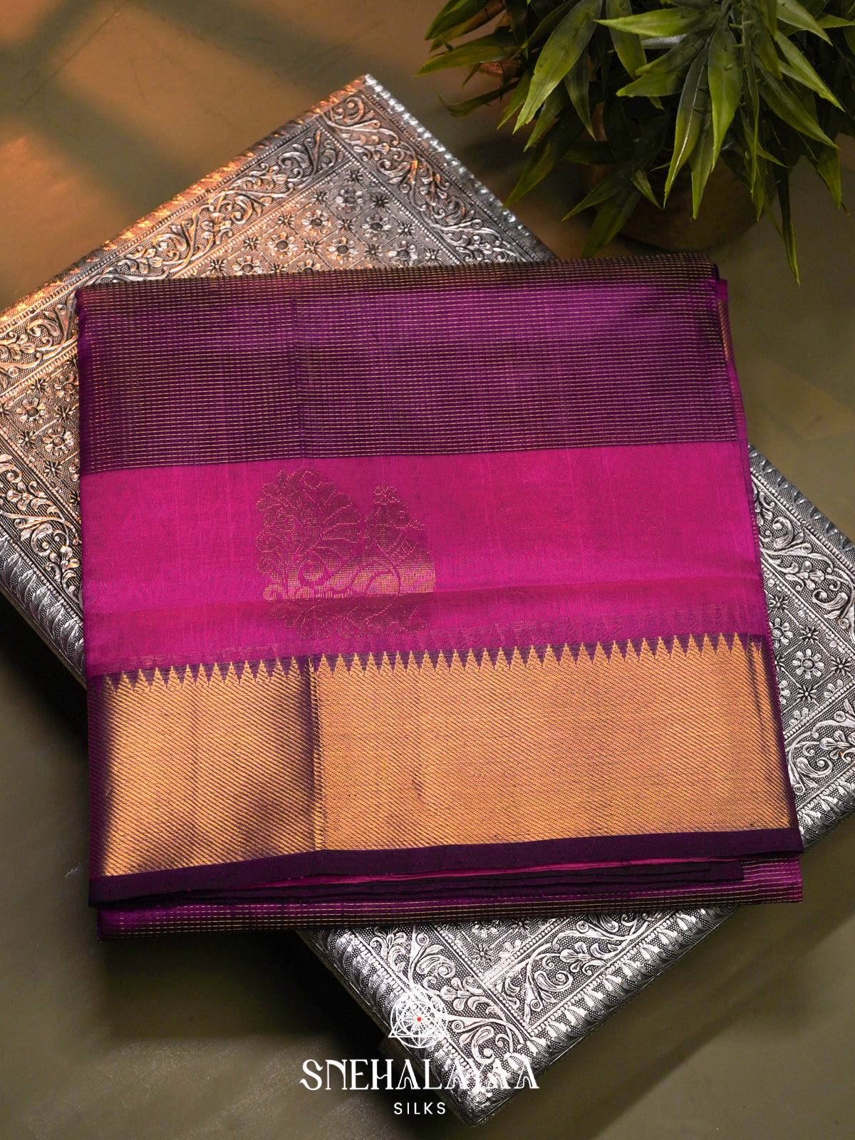 Lavender Kanchi Silk Cotton Saree