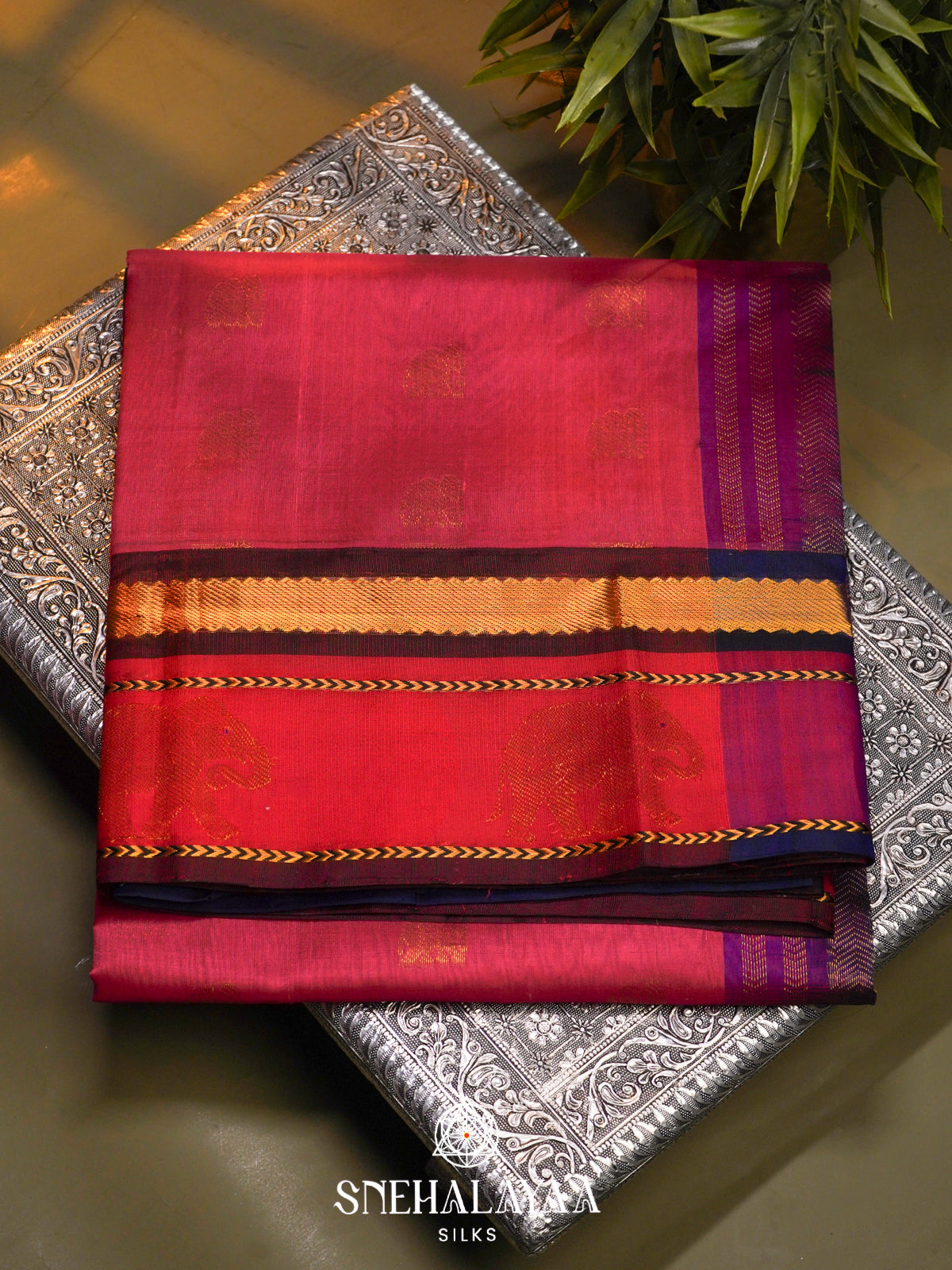 Pink Kanchi Silk Cotton Saree