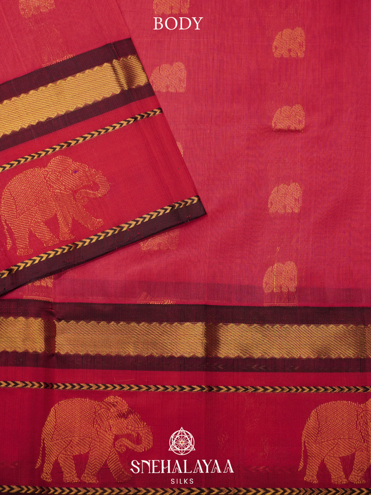 Pink Kanchi Silk Cotton Saree