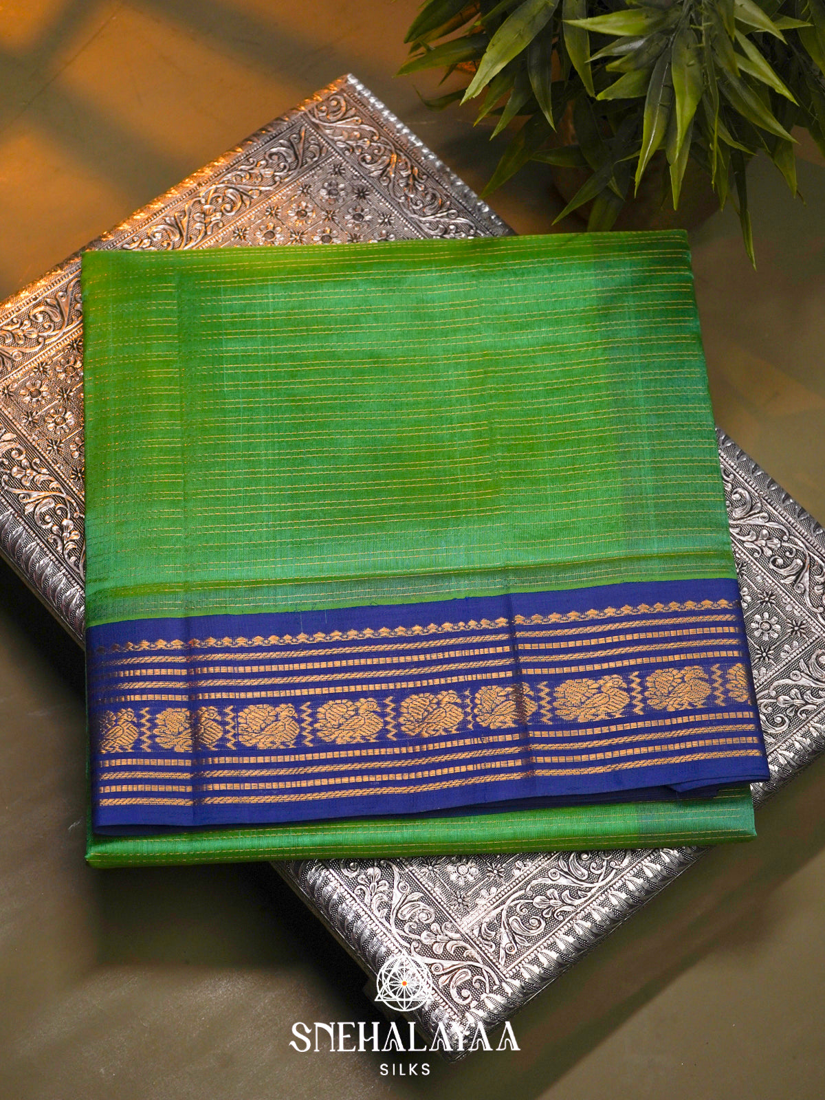 Green Kanchi Silk Cotton Saree