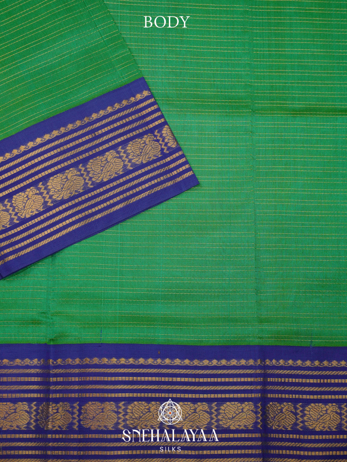Green Kanchi Silk Cotton Saree