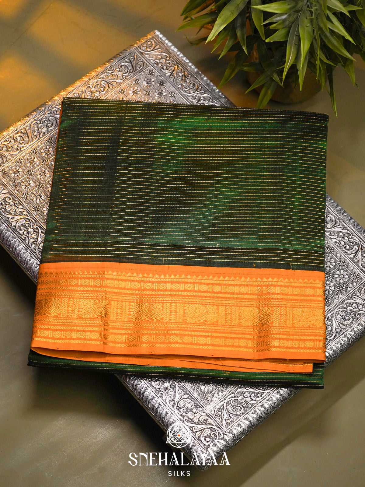 Green Kanchi Silk Cotton Saree