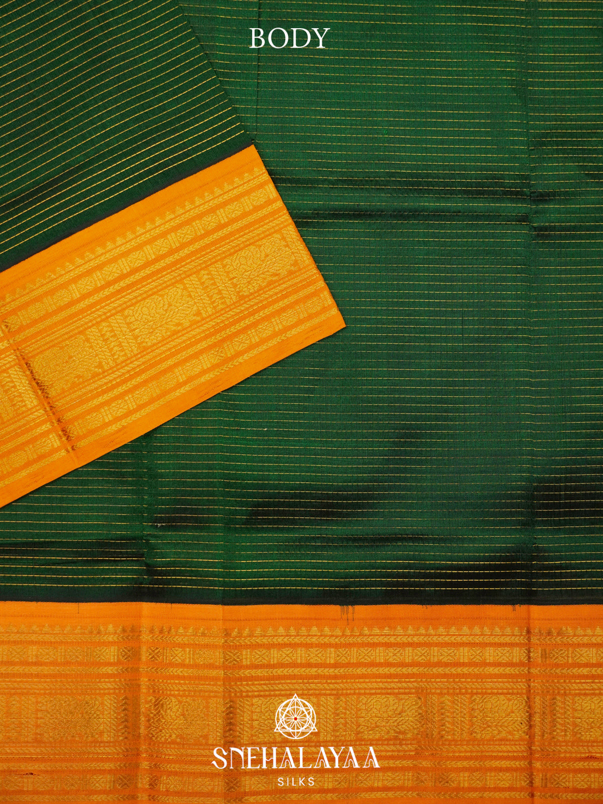 Green Kanchi Silk Cotton Saree
