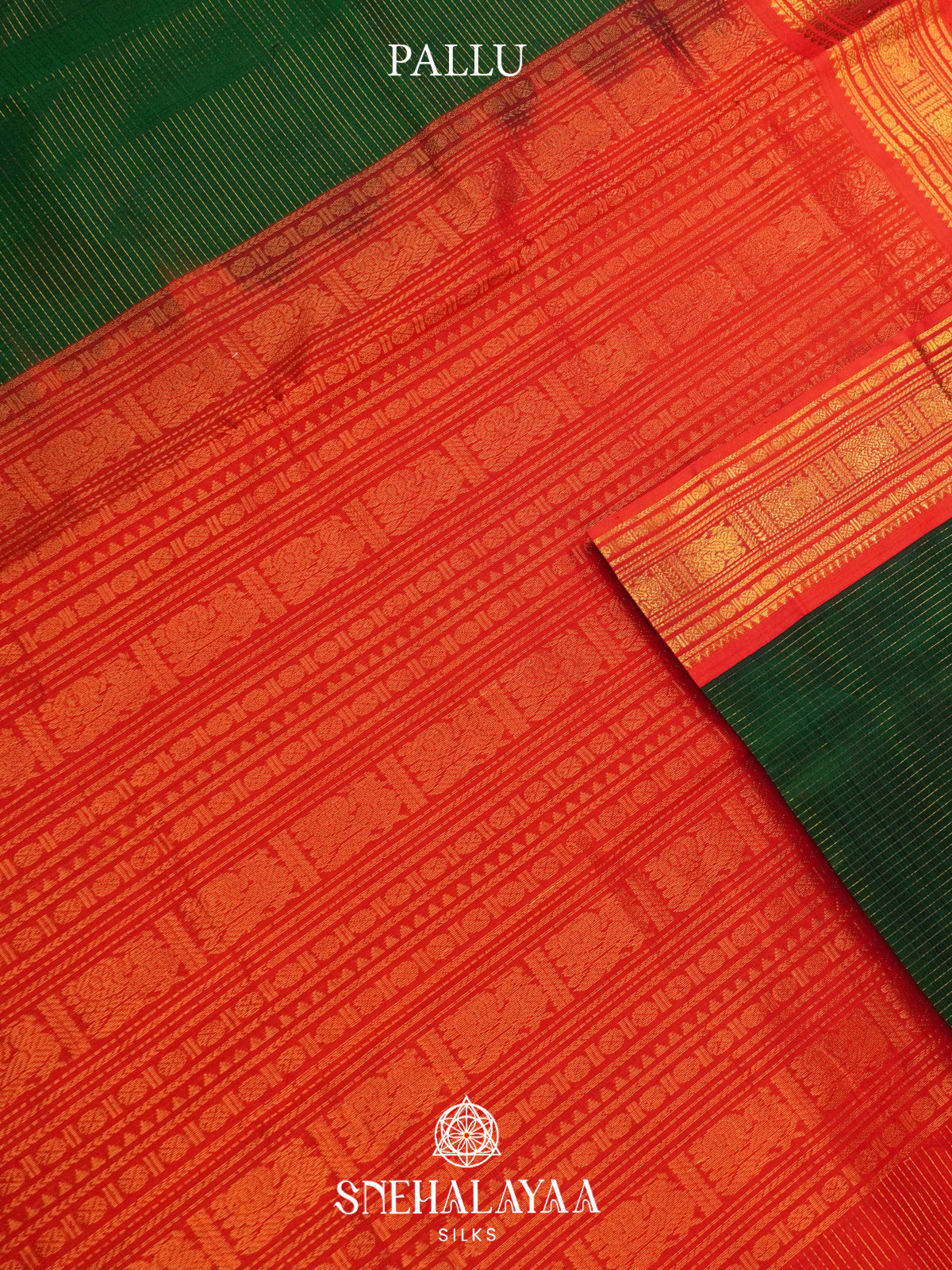 Bottle Green Kanchi Silk Cotton Saree