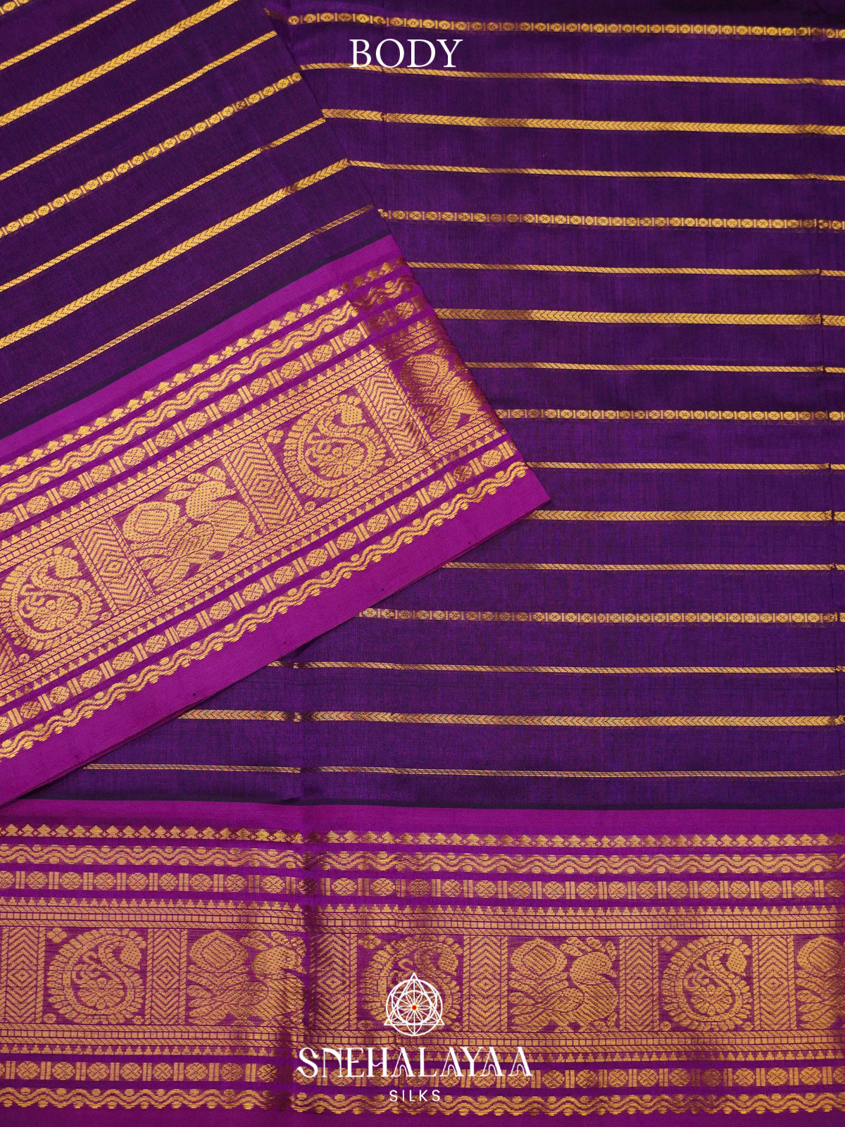Violet Kanchi Silk Cotton Saree