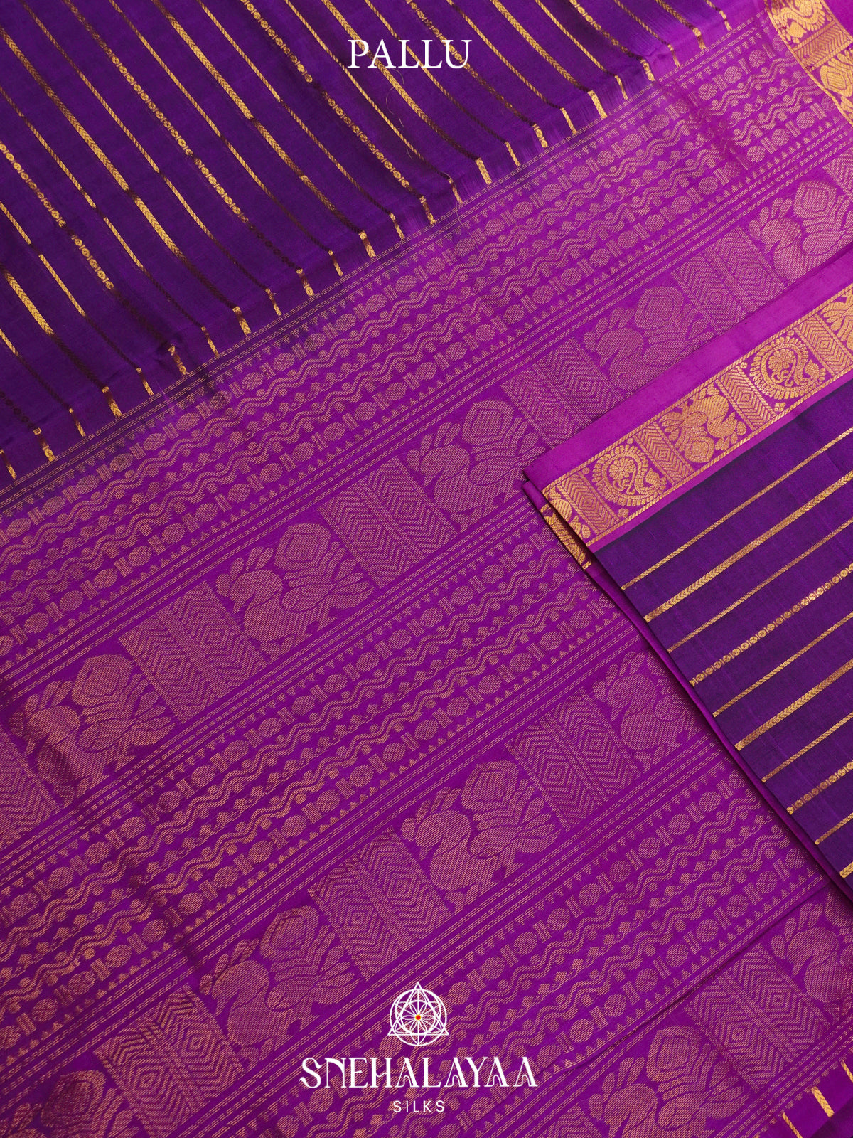 Violet Kanchi Silk Cotton Saree