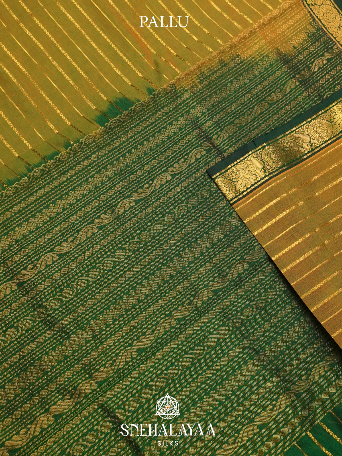 Olive Green Kanchi Silk Cotton Saree