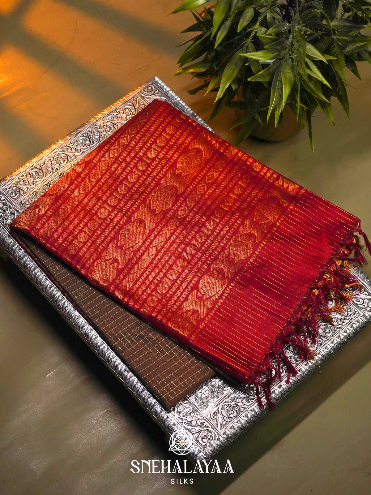 Brown Kanchi Silk Cotton Saree